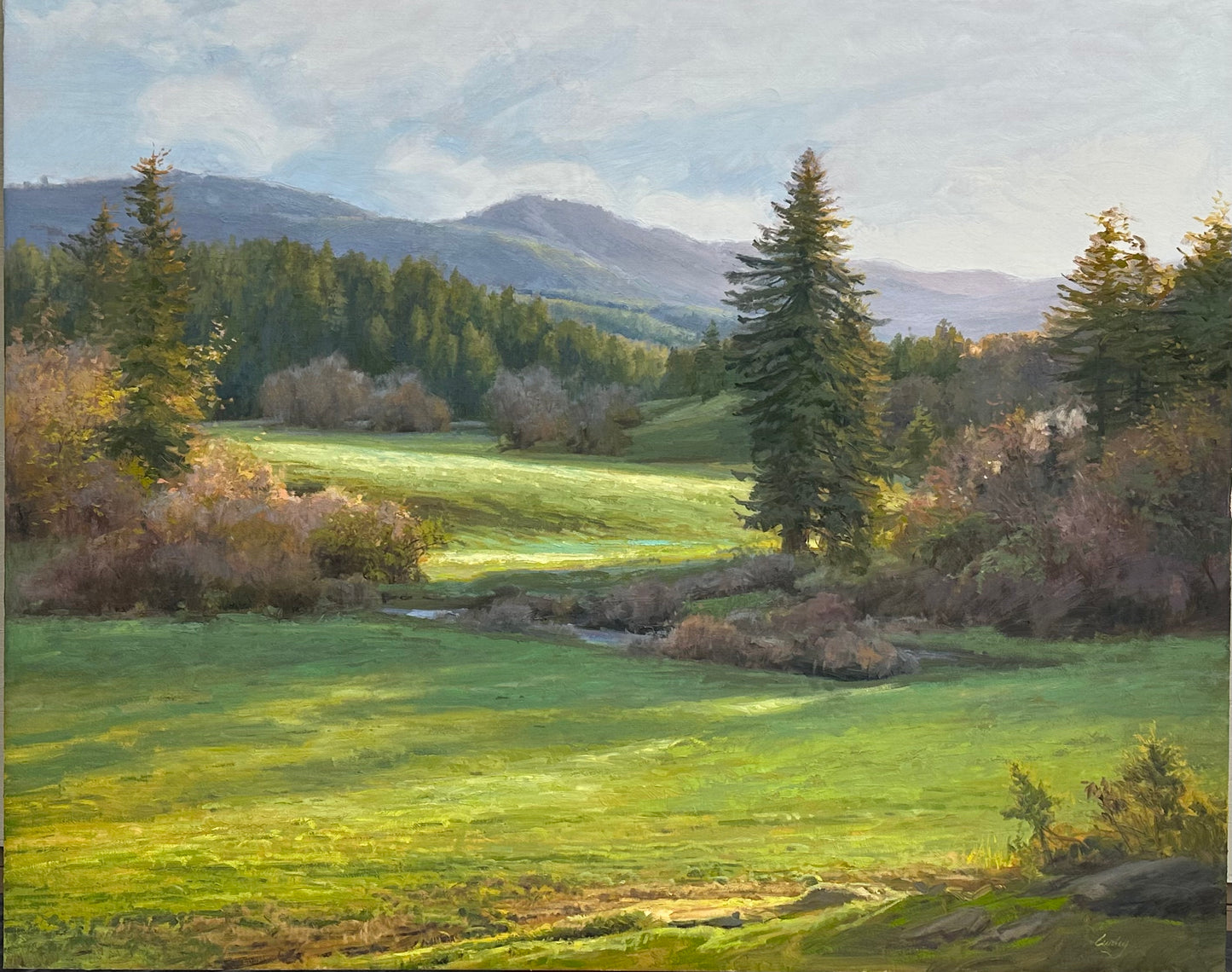 Cascade Mountains in Spring