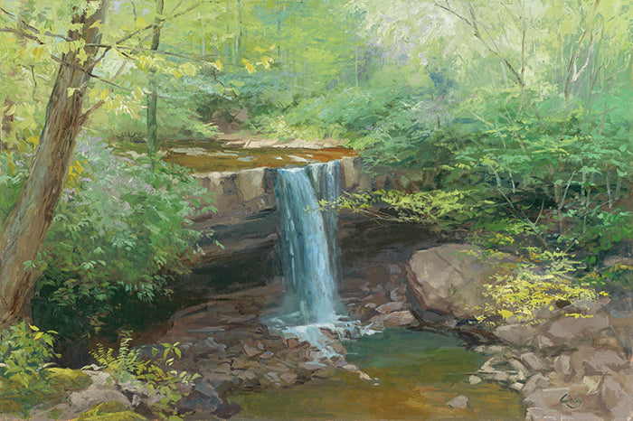 Cucumber Falls in Spring