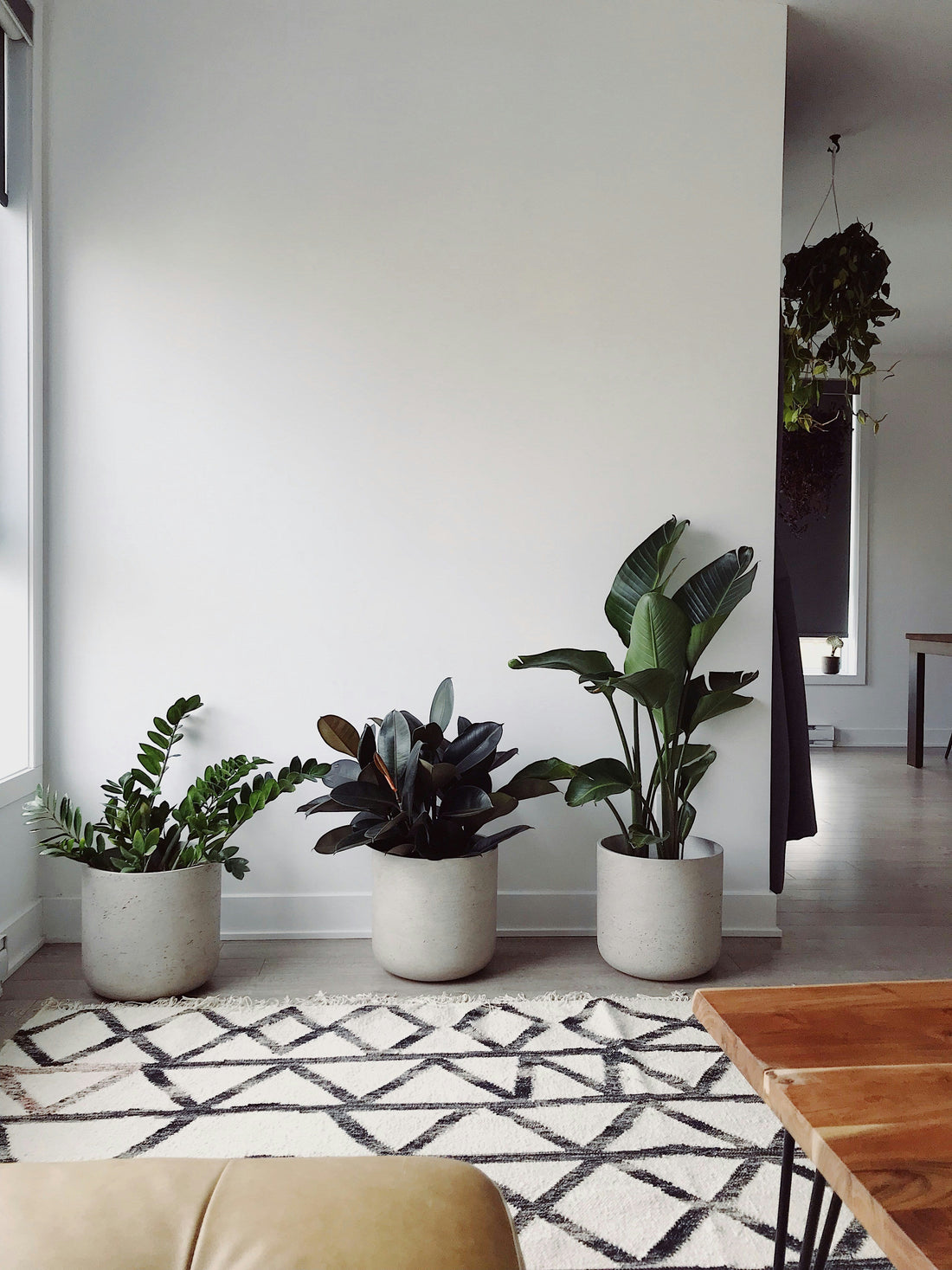 How Art Changes the Feel of a Room
