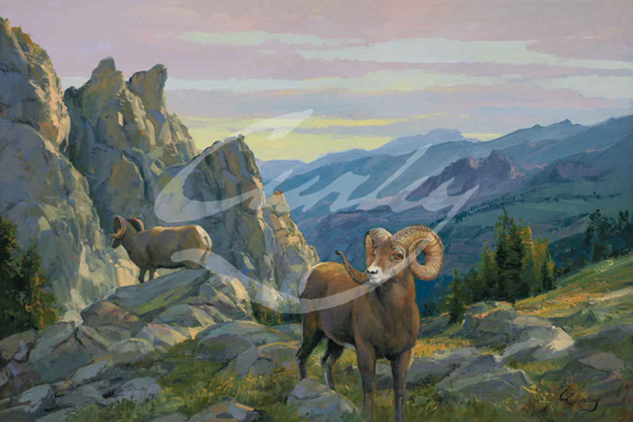 Wildlife