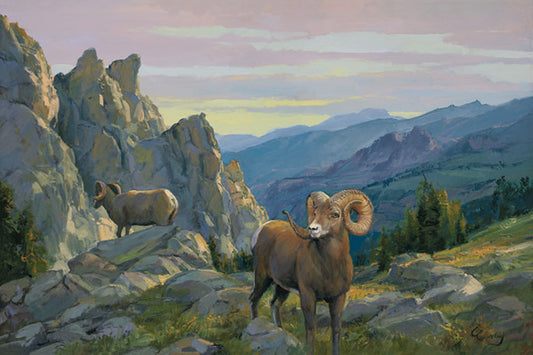 Desert Rams
