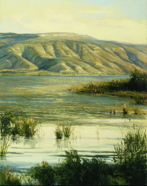 Galilee Shores