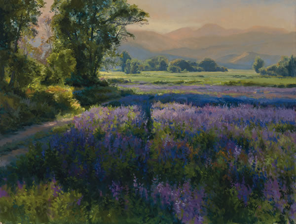 Purple Wildflowers