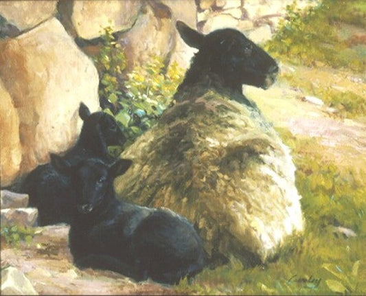 Black Lambs