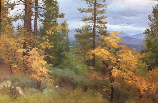 Above Shafer Lake