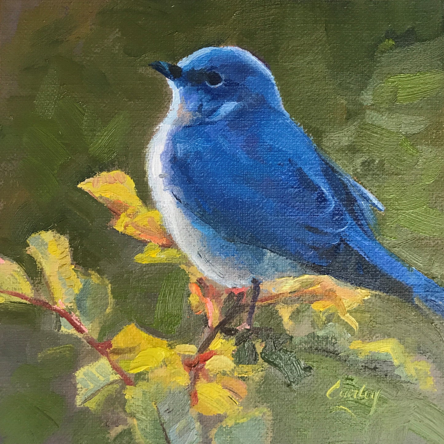 Blue Bird
