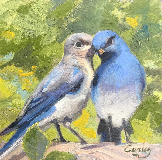 Blue Birds