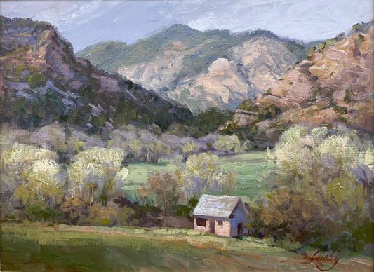 Cabin at Julie Rogers