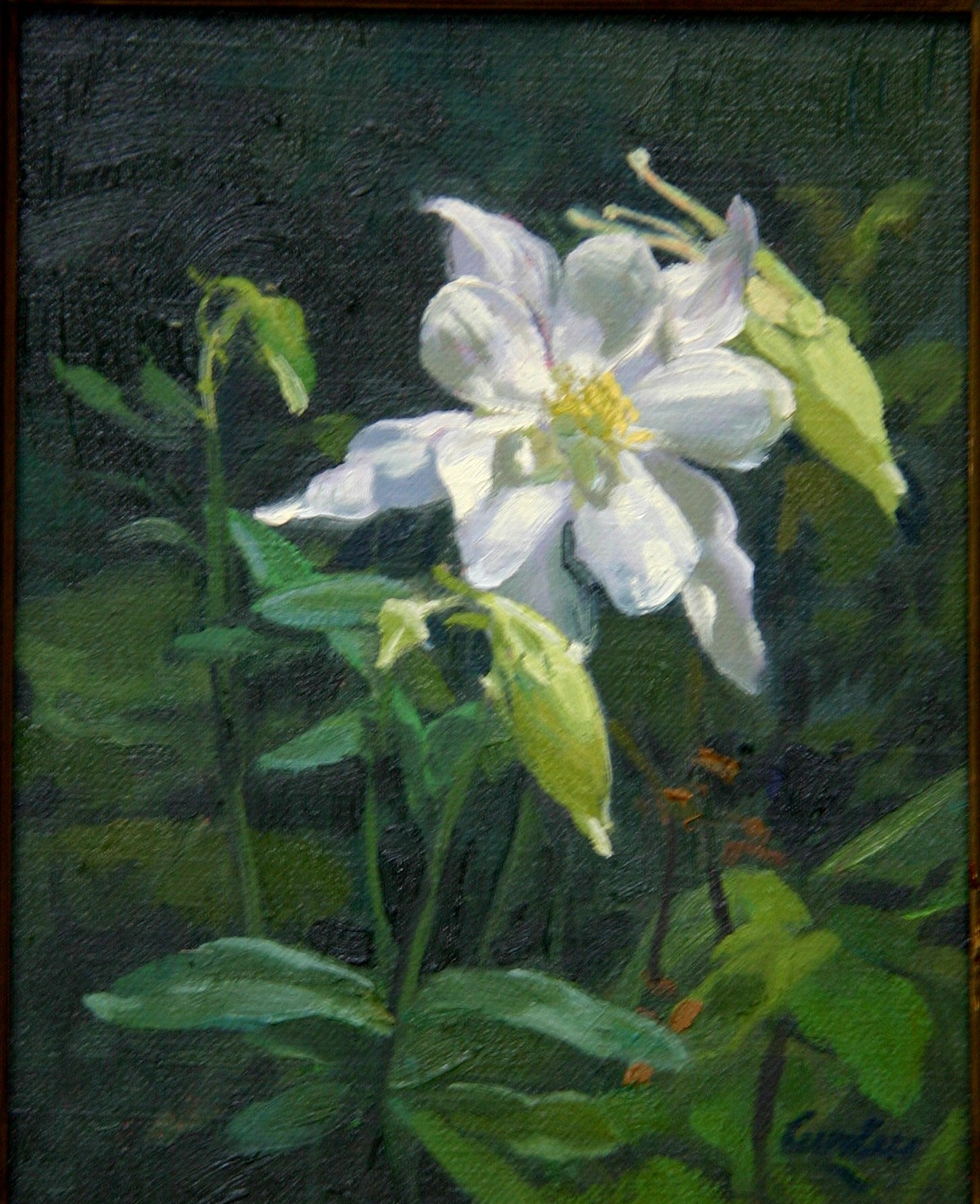 Columbine