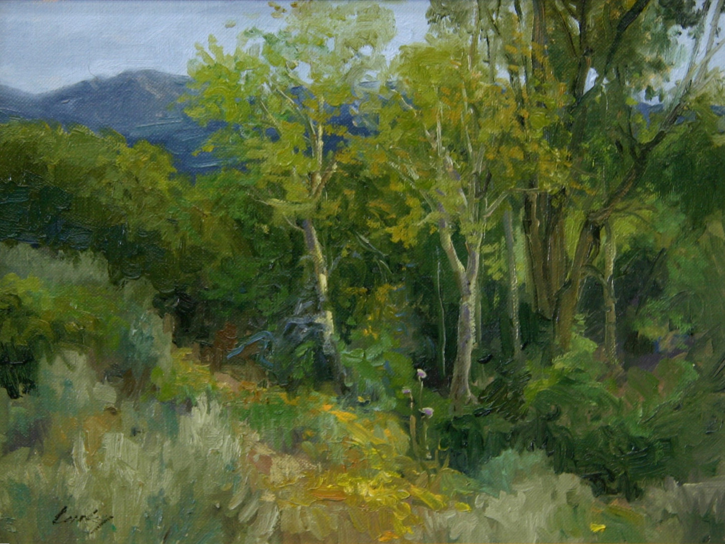 Cottonwood and Rabbitbrush