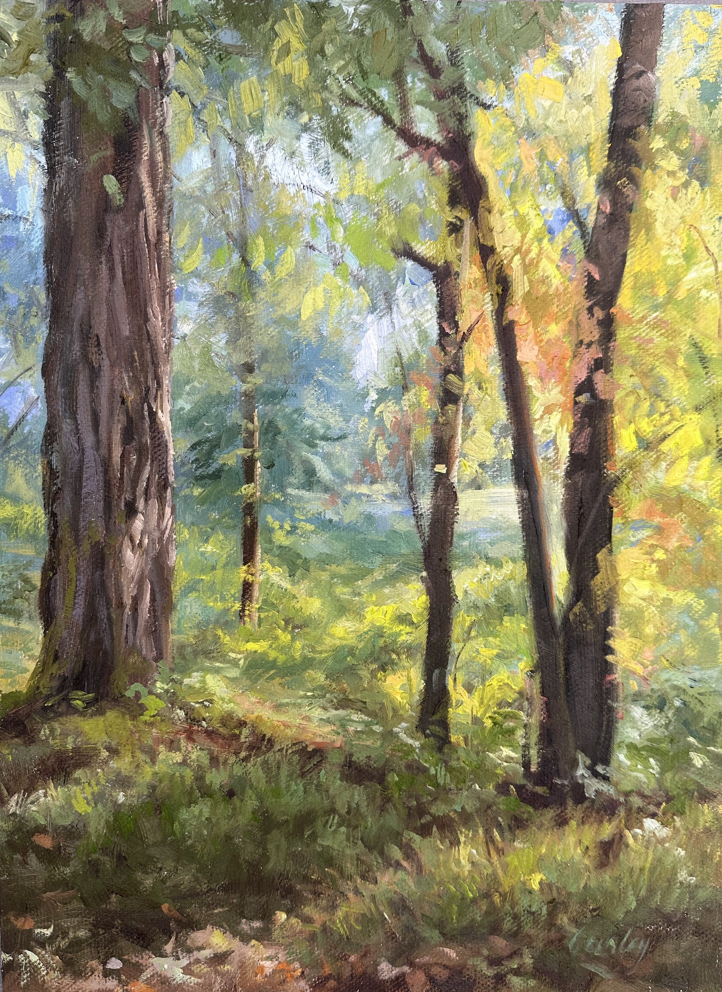 Cumorah Morning Light