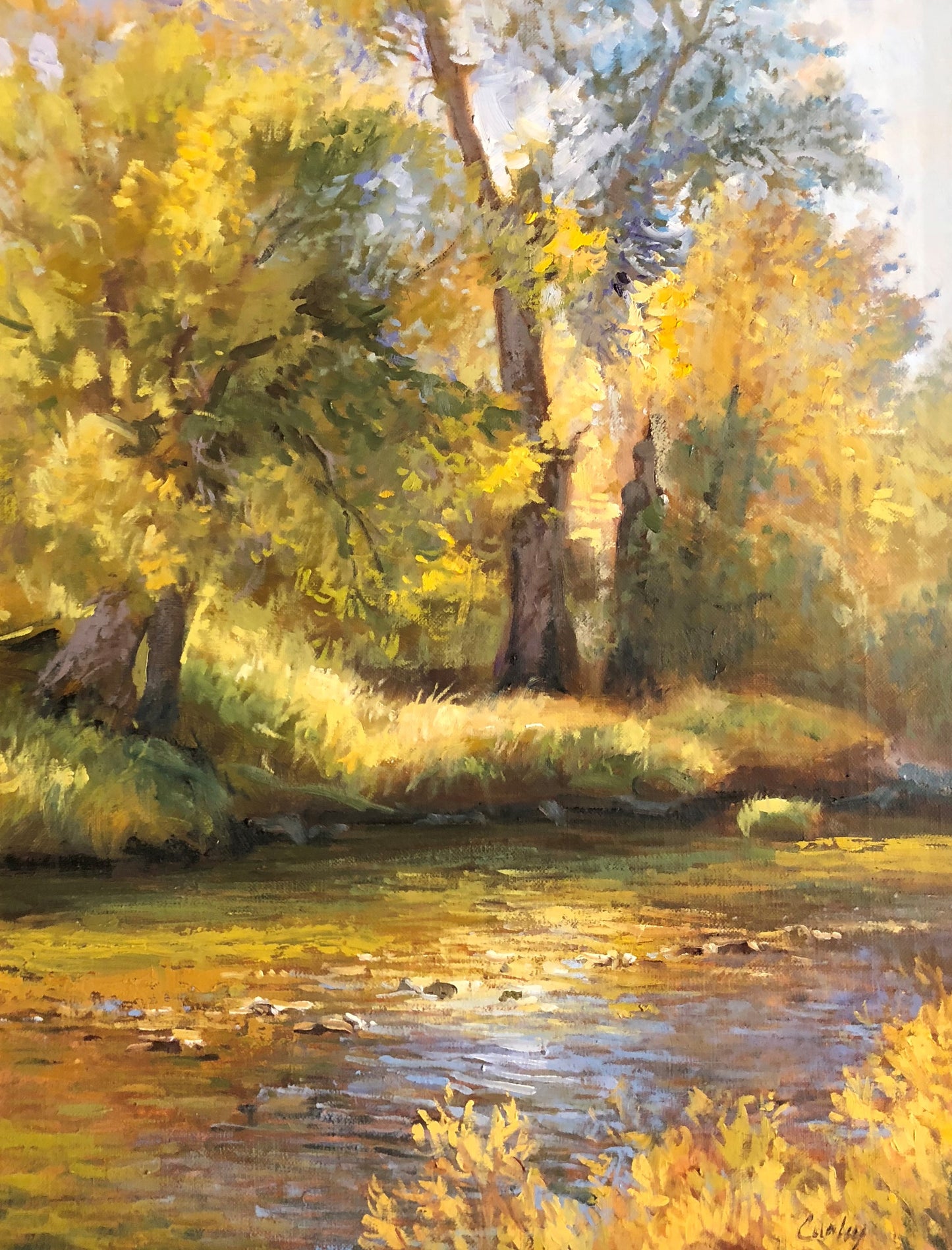 Idaho Cottonwoods (SOLD)