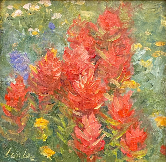 Indian Paintbrush II