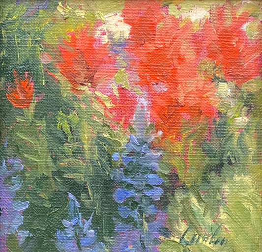Indian Paintbrush I