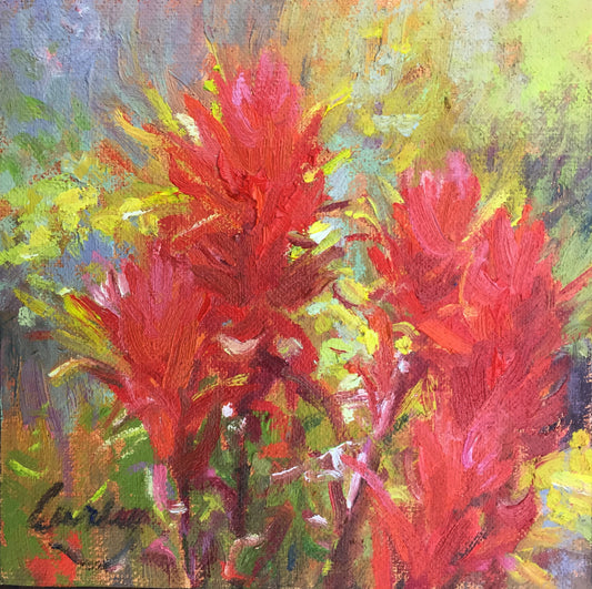Indian Paintbrush IV