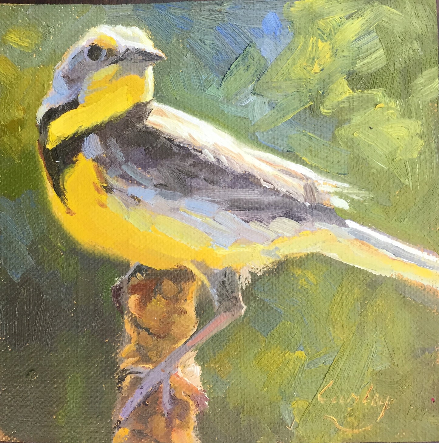 Meadowlark
