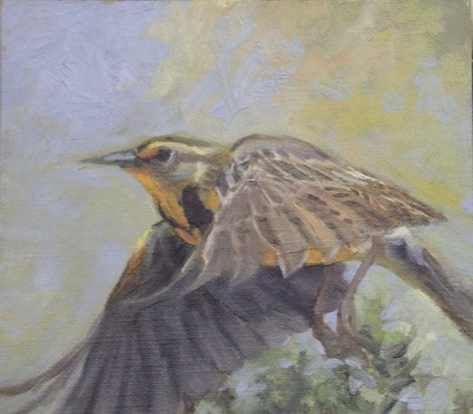 Meadowlark in Flight