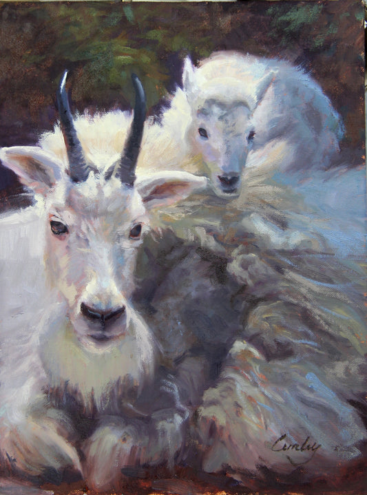 Mountain Goat Piggyback