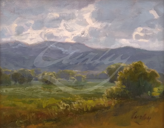 Rainy Day Plein Air