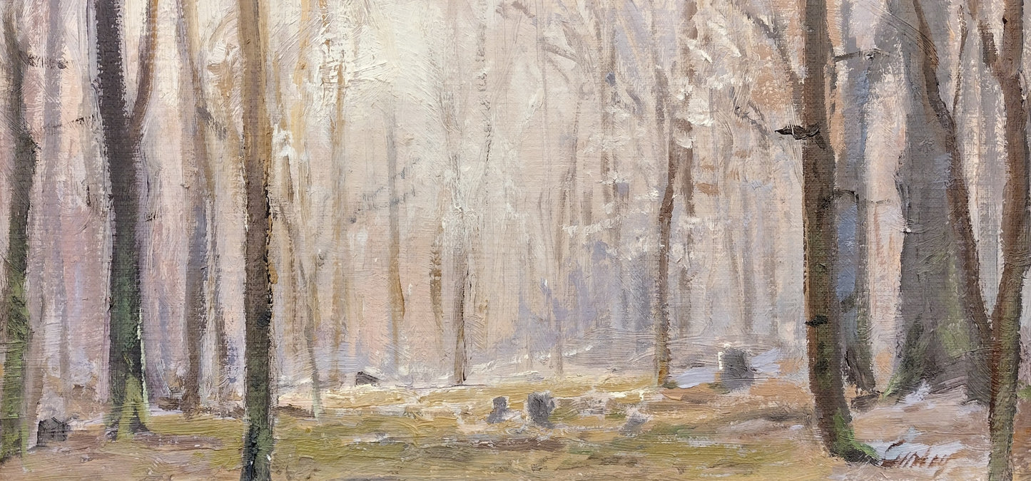 Hillside Trees - Sacred Grove in Winter