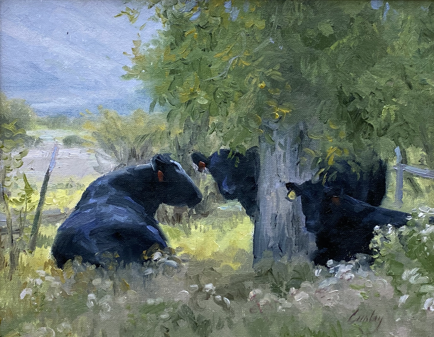 Peek-A-Boo Bulls