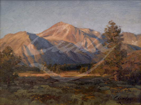 Sierra Nevada Sunrise