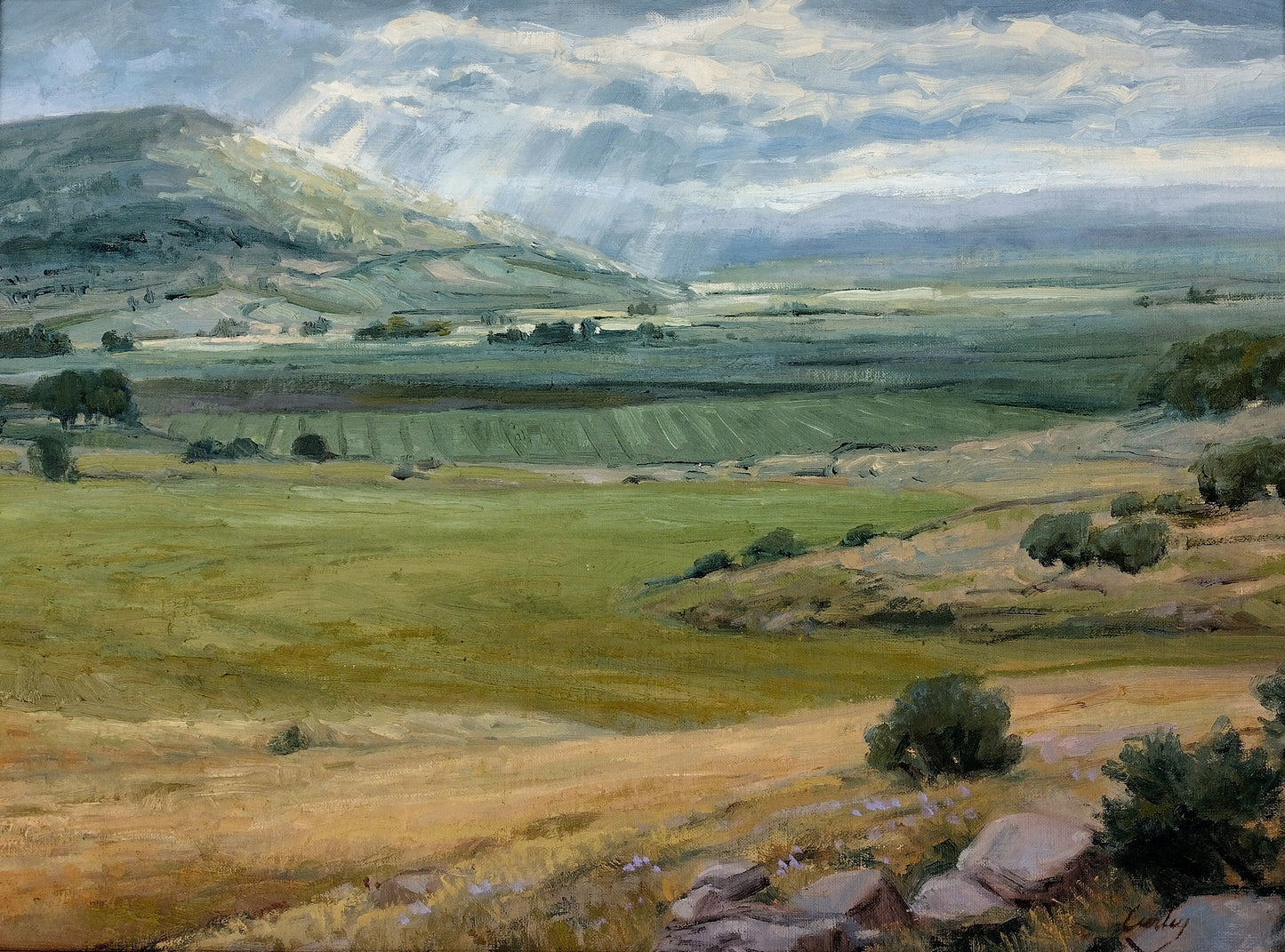 The Jezreel Valley