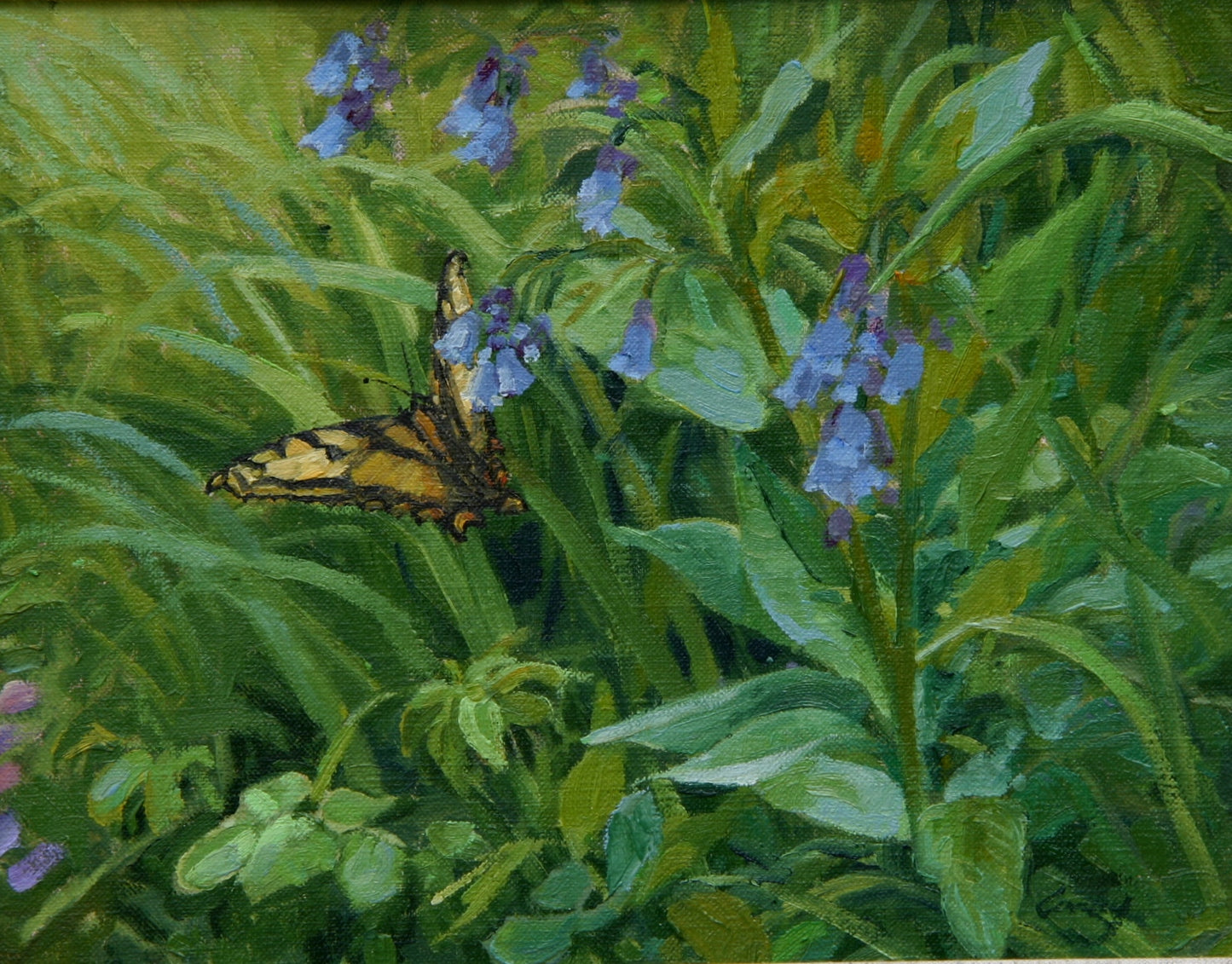 Tiger Swallow