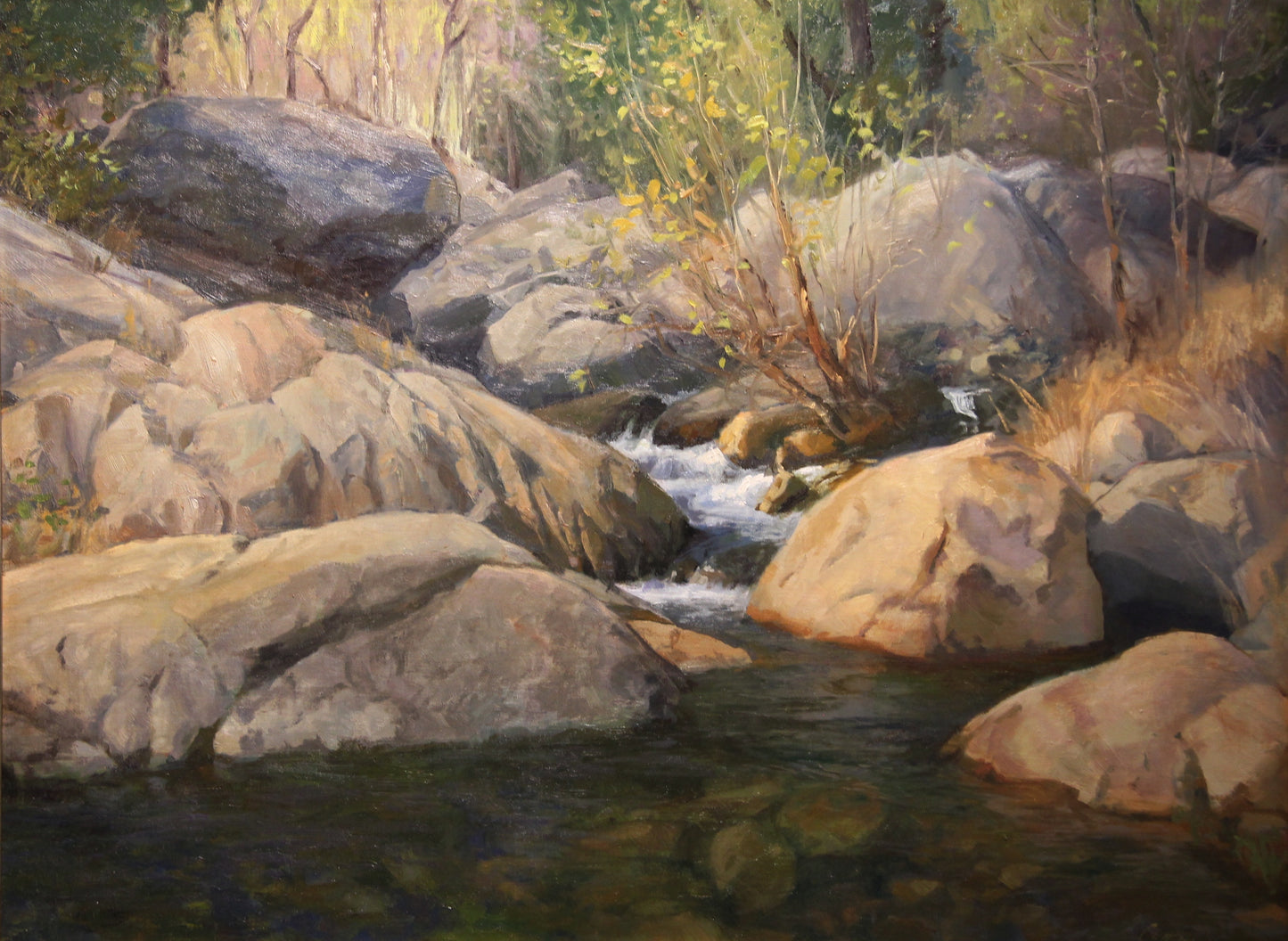 Water in the Desert