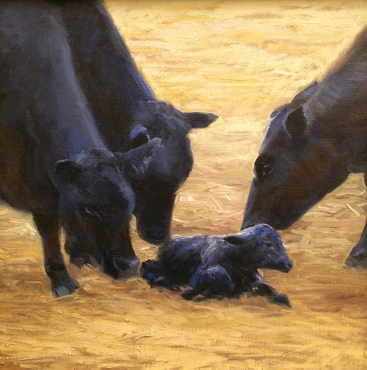 Welcoming the Newcomer