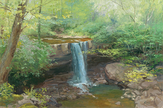 Cucumber Falls in Spring